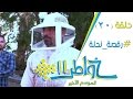 خواطر11 | رقصة نحلة - الحلقة 20 (كاملة)