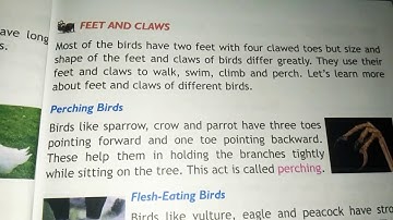 Feet and claws of birds l chapter-4 part-4 Birds l types of Bird