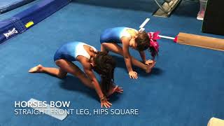 Hamstring Flexibility And Splits
