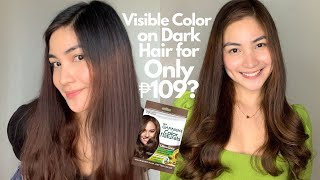 Garnier colour naturals hair colour Highlights | Shade no 4 Brown | keebisha