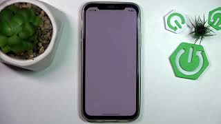 iPhone 12 – How to Fix Google Search App Issues on iOS