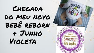 Chegada do meu novo bebê Reborn + Junho Violeta .