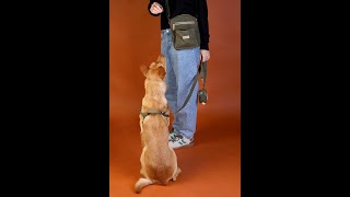 Introducing the Waxed Canvas Collection 🌿🐕