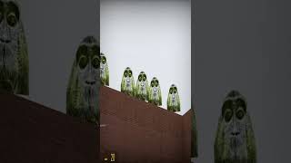 part 837#gmod#nextbot#garrys mod