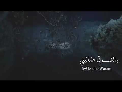 حالات واتس ستوريات حب جديدة وائل جسار من غيرك شو بسوى انا