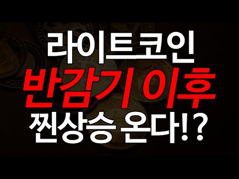 라이트코인 반감기 이후 찐급등 시점 공개 이 때 급등 나온다 영상 필수 시청 