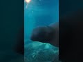 #whale of a time