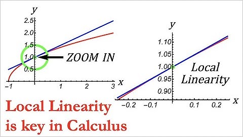 Local Linearization is the Essence of Differential Calculus