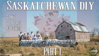 Saskatchewan Freelance Waterfowl - THOUSANDS OF GEESE!