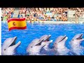 🇪🇸🇪🇸🇪🇸4K / Aqualand, Costa Adeje, Tenerife, SPAIN, Акваленд на Тенерифе Испания🇪🇸🇪🇸🇪🇸