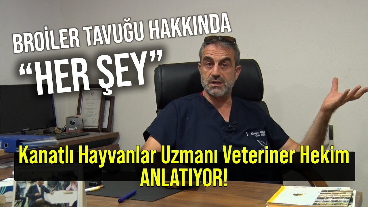 Broiler Tavuğu Hakkında 