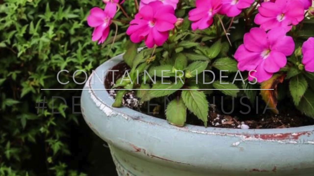 Container Garden Ideas YouTube