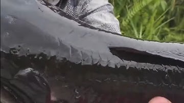 Câu cá lóc U Minh Thượng. Tập 5:  Bão hugo. bỏ luôn 5 tờ vé số trúng số đầu.