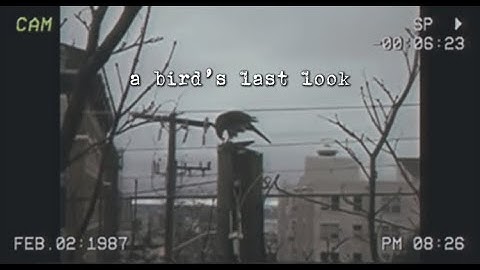 copy 6ABFC796 D237 4095 971F BC0BAE27A65C