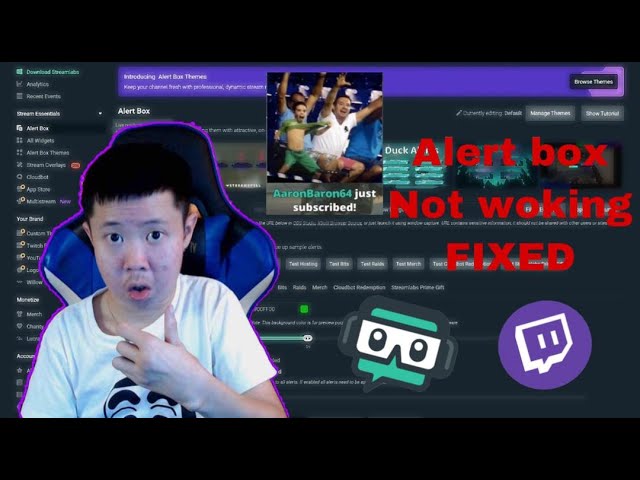 How To Fix Streamlabs Obs Alert Box Not Showing On Twitch While Streaming 21 Quick Tips Youtube