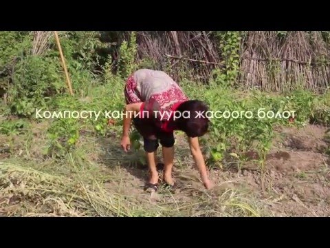 Video: Топариарды кантип жасоого болот