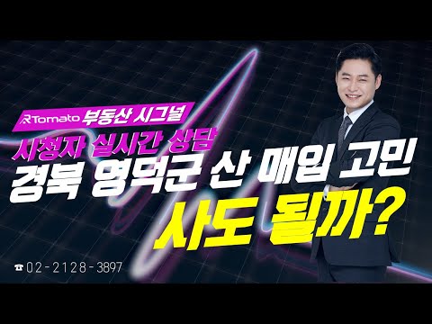부동산시그널 : 경북 영덕군 산 매입 고민인데...매수 해도 괜찮을까?