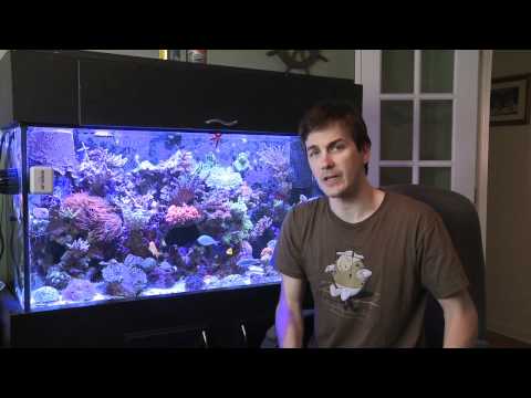 Mr. Saltwater Tank TV Friday Am Quick Tip #68: I Should Get Exclusive Treatment