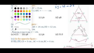 Mr.Eslam Sayed Sec.1 H.W. Similarity of Triangles Geometry