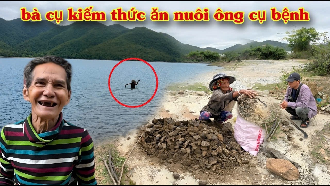 ​Tận Cùng Nghèo Khó BÀ CỤ kiếm CÁ, kiếm PHÂN BÒ để mua GẠO nuôi chồng bệnh | 736