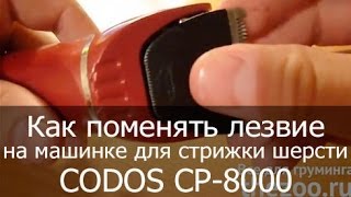 Как поменять лезвие на машинке для стрижки шерсти CODOS CP-8000(http://thezoo.ru/ Машинка для стрижки шерсти, машинка для стрижки собак, машинка для стрижки кошек, товары для грум..., 2013-11-12T16:11:08.000Z)
