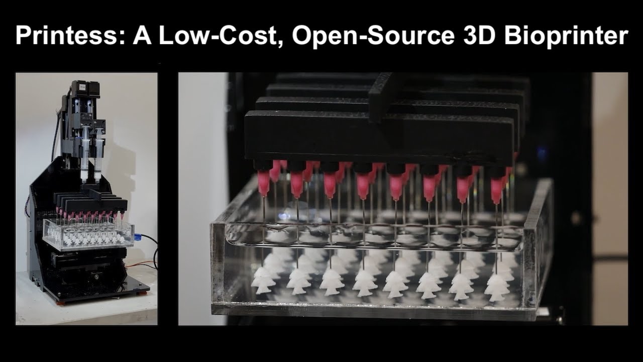 Printess Printess: A Low-Cost, Open-Source 3D Bioprinter Overview Trailer - YouTube
