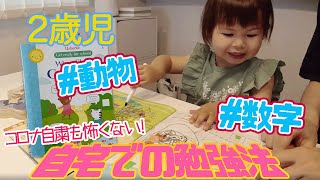 【2歳児　室内遊び】英語のワークブックを使って日本語も一緒に覚えよう！　ママと一緒におうちで遊ぶあーちゃん