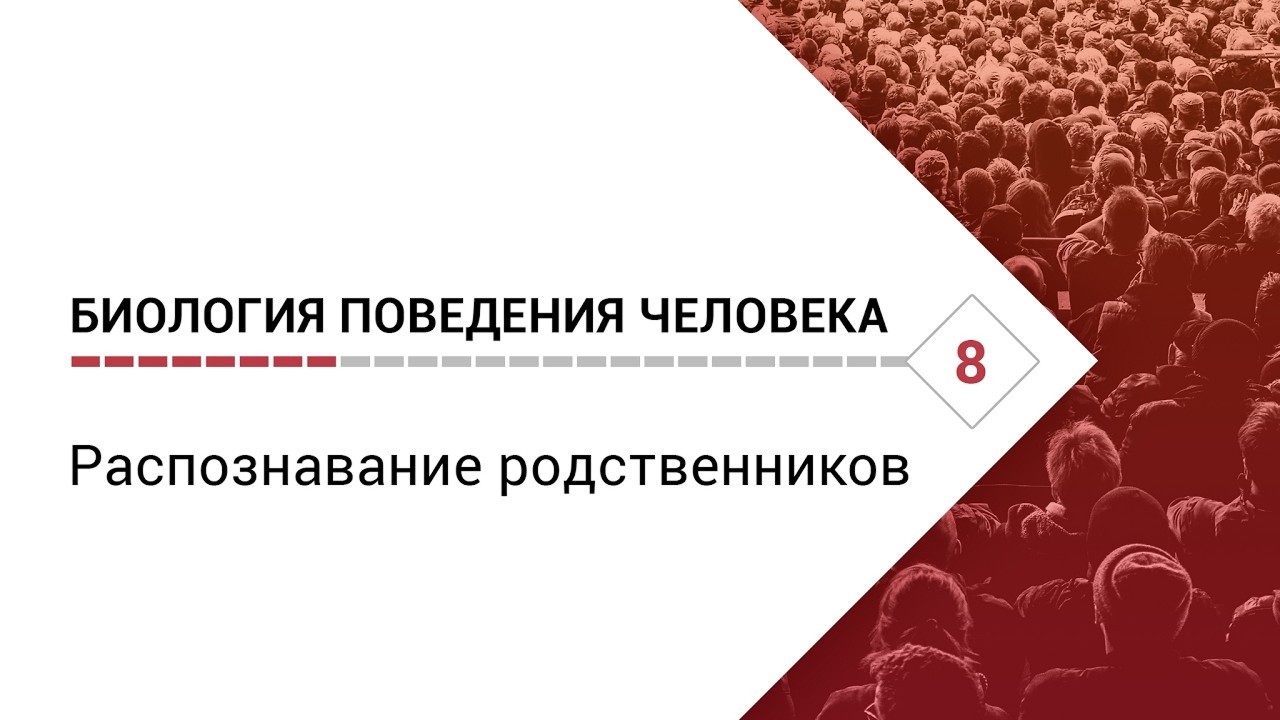 Биология поведения человека: Лекция #8. Распознавание р… — Transcript