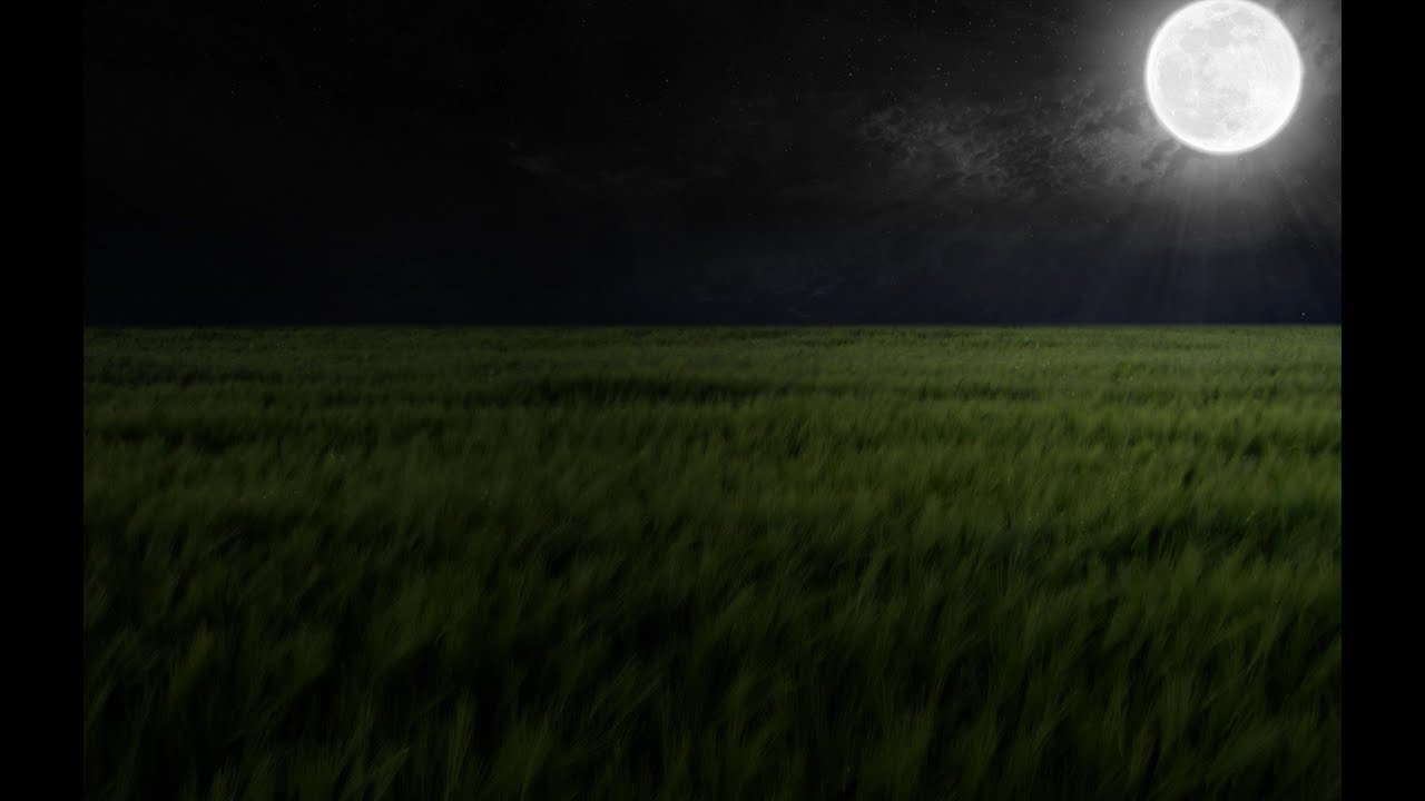 Virgo June 1-15/19 Break Time Over