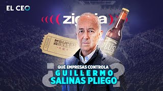 What companies does Guillermo Salinas Pliego control? Wealth
