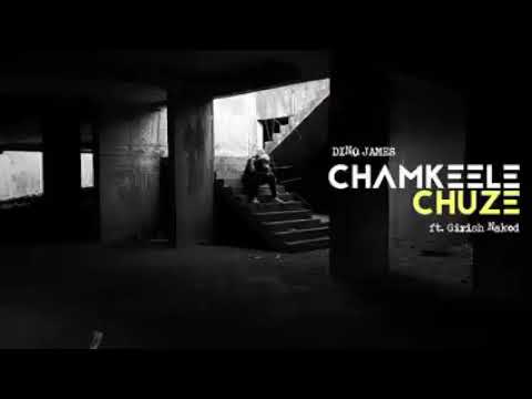 Chamkeele Chuze - Dino james ft. Girish Nakos Red Hill music (prod. Bluish music) [Official video]