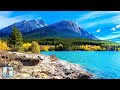 3 HOURS of Amazing Nature Scenery &amp; Relaxing Music for Stress Relief. EP2