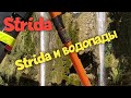 Strida на водопады!