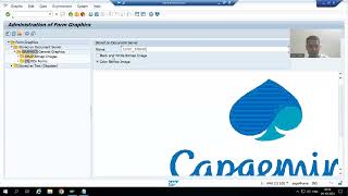 Famous 15 - SAP Scripts - Creation of Graphics Wealth