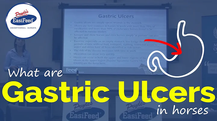 What are Gastric Ulcers in horses?