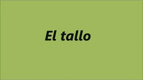 ¿Qué función cumple el tallo para niños?