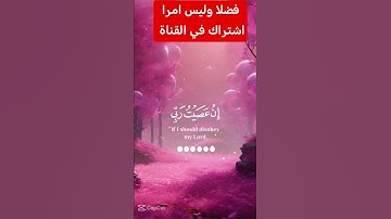 القرآن الكريم #دويتو #اكسبلور #تيك_توك #duet #راحة_نفسية #لايك #فولو #ترند #في #رمضانمبارك