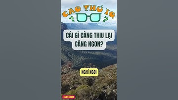 Câu Đố Vui Nhộn: Thử Thách Tư Duy Logic Của Bạn p65 | Cao Thủ IQ #caudovui  #dovui  #quiz #giaitri