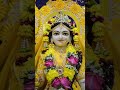 Radha Rani Lage maharani Lage#Radha Rani#shortfeed#