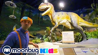 Blippi Visits Dinosaur Exhibition to Learn About Eggs and Fossils | Blippi | Kids Songs