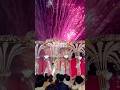 【インド】インドの結婚式がカオスすぎる🎆