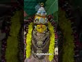 వరలక్ష్మీ వ్రతం 🪷 #vratam #music #pooja #reels #ytchannel #ytshorts #love #mummy #nagumomu #amma