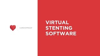 Virtual Stenting Software