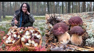 БОРОВИКИ НЕ СДАЮТСЯ, ПОЛНЫЕ КОРЗИНЫ БЕЛЫХ ГРИБОВ В ОКТЯБРЕ! ВЫ ТОЛЬКО ПОСМОТРИТЕ!