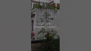 تلاوة تهز القلوب | سورة الشرح 7-8 💖