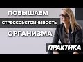 КАК ПОМОЧЬ ОРГАНИЗМУ ВО ВРЕМЯ СТРЕССА? Источники энергии для успокоения и расслабления