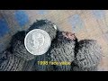 1998 France 1 Franc Coin Worth $90? 💰 Rare Coin Value Explained!