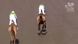 Vidéo de la course PMU PRIX GREAT NORTHERN HANDICAP