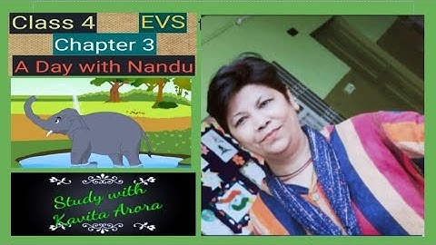 EVS,Class-4, Ch-3, A Day With Nandu