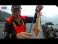 [路亞擬餌] 岸邊釣大砲管(透抽)... 2019/05/台灣69J釣魚俱樂部(69J Fishing Club)